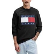 Sweater Tommy Hilfiger DM0DM22643