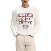 Trui Tommy Hilfiger DM0DM22401