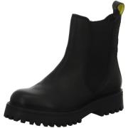 Laarzen Salamander -