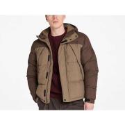 Windjack Timberland -