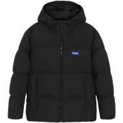 Donsjas BOSS Bodo2541 10274841 01