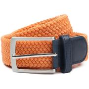 Riem Suitable Geweven Riem Oranje