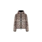 Windjack Rinascimento CFC0122218003