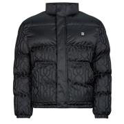 Donsjas HUGO Balto2541