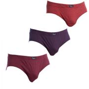 Slips Abanderado A0080-1ET