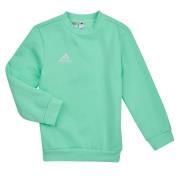 Sweater adidas ENT22 SW TOPY