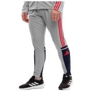 Trainingsbroek adidas Pantalon Squadra 25 Multicolore