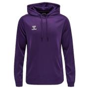 Sweater hummel Sweat à capuche Core XK Poly