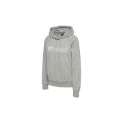Sweater hummel Sweat à capuche Noni 2.0 gris