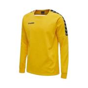 Sweater hummel Sweat Authentic Training Jaune