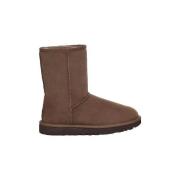 Laarzen UGG Classic II Short