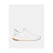 Lage Sneakers Skechers 118424 BOBS SQUAD 4 DIRECT STEP