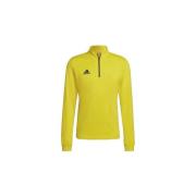Sweater adidas Entrada 22