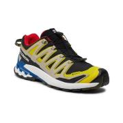 Wandelschoenen Salomon Xa Pro 3d V9 Gtx