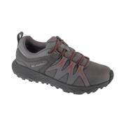 Lage Sneakers Columbia Peakfreak Roam Wp