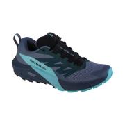 Hardloopschoenen Salomon Sense Ride 5 Gtx
