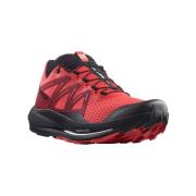 Hardloopschoenen Salomon Pulsar Trail
