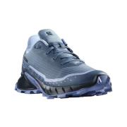 Hardloopschoenen Salomon Alphacross 5