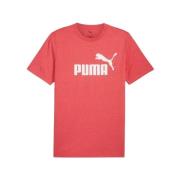 T-shirt Korte Mouw Puma 68255011