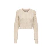 Trui Only 15350742 BIRTIE-BIRCH
