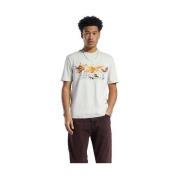 T-shirt Korte Mouw Reebok Sport T-shirt Looney Tunes Beige