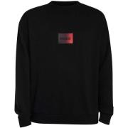 Sweater BOSS Danotop Boxed Logo Sweatshirt