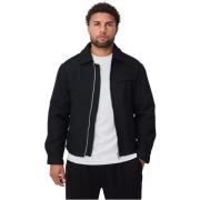 Windjack Frilivin QQ483V41-1