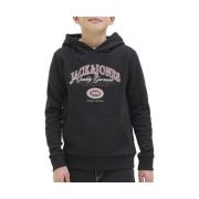 Sweater Jack &amp; Jones -