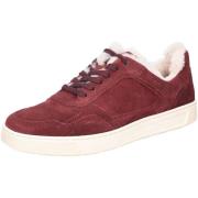 Lage Sneakers Sioux -