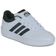 Lage Sneakers adidas HOOPS CLASSIC J