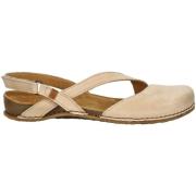 Ballerina's El Naturalista Ballerina´s