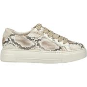 Lage Sneakers Paul Green Sneaker