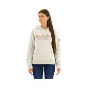 Sweater Superdry Sweat à capuche Rainbow Logo gris glacier chiné