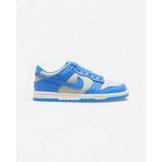 Lage Sneakers Nike Dunk Low Light Silver Sail Light Photo Blue (GS)