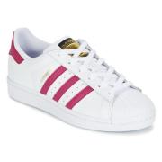 Lage Sneakers adidas SUPERSTAR FOUNDATIO