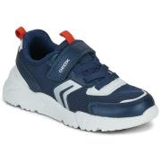 Lage Sneakers Geox J LOFTUS BOY B