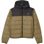 Donsjas Lacoste Water-Repellent Quilted Puffer Jacket Khaki Green/Blac...