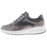 Lage Sneakers Solidus Kitty