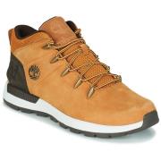 Lage Sneakers Timberland -