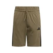 Korte Broek adidas JD6495