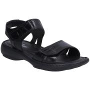 Sandalen Josef Seibel -