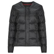 Donsjas JOTT CHRISTY