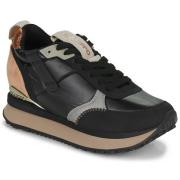 Lage Sneakers Gioseppo ANIF