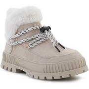 Laarzen Palladium Domyslna nazwa