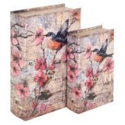 Manden en dozen Signes Grimalt Vogelboekdoos 2U