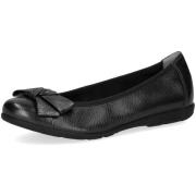 Ballerina's Caprice -