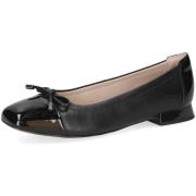 Ballerina's Caprice -