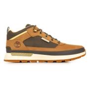 Hoge Sneakers Timberland Field Trekker Low Lace Sneaker