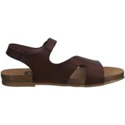 Sandalen Cosmos Comfort Sandalen