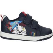 Lage Sneakers Geox Sneaker